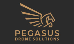 Pegasus Drone Solutions